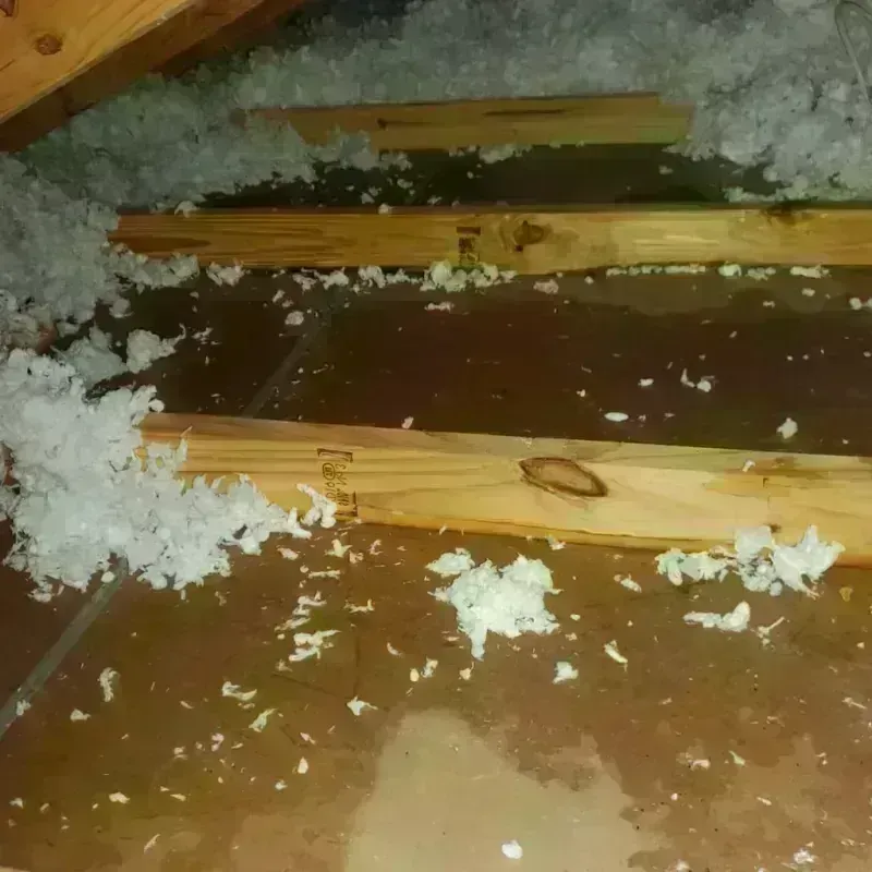 Attic Water Damage in Ellis County, KS