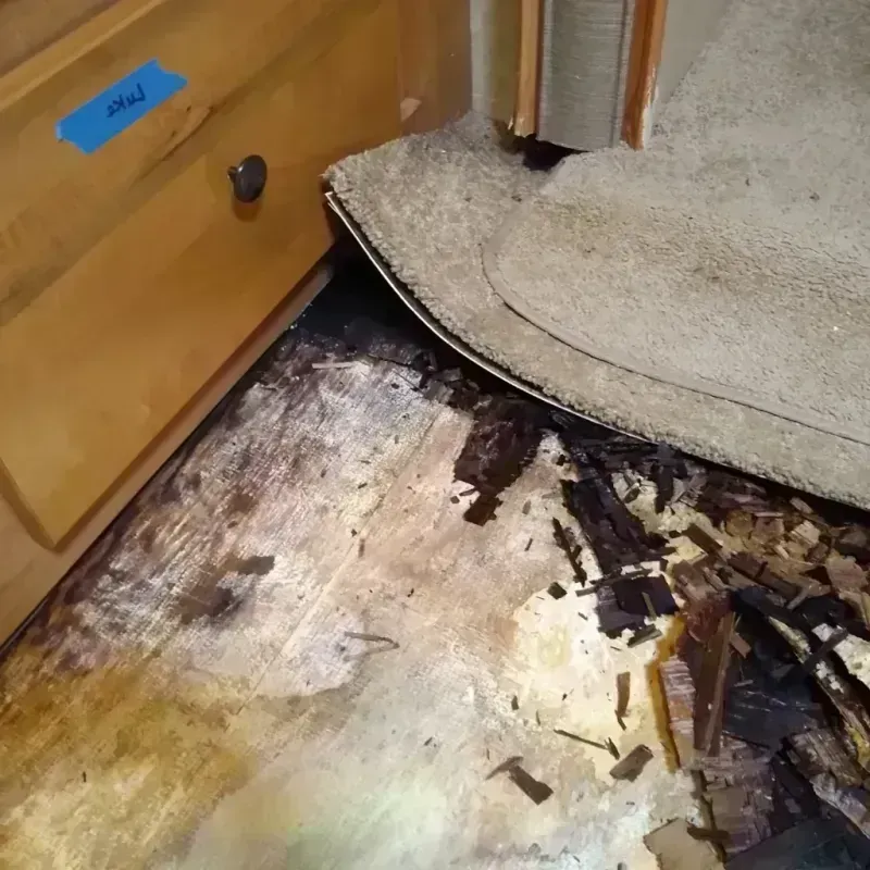 Wood Floor Water Damage in Ellis County, KS